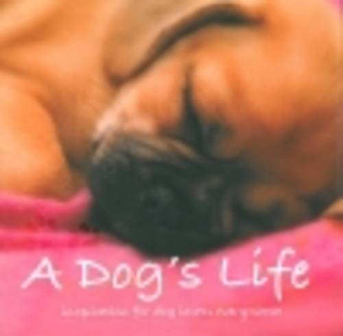 A Dog's Life Inspiration for Dog Lovers Everywhere